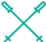 Vector