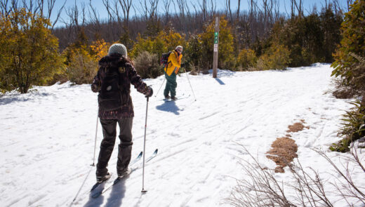 two people skiing downhill in the snow
