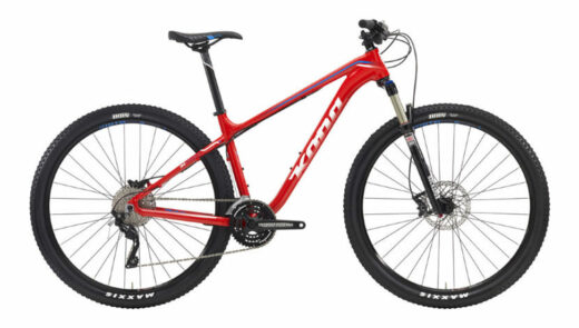 Adult Mountain Bike (Large)