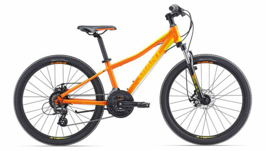 Kids Mountain Bike (Large)