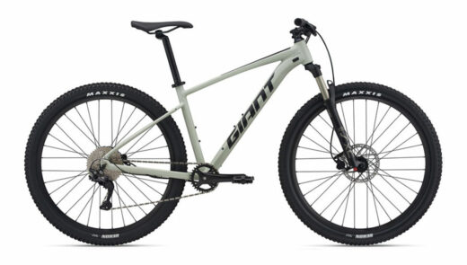 Adult Mountain Bike (Small)