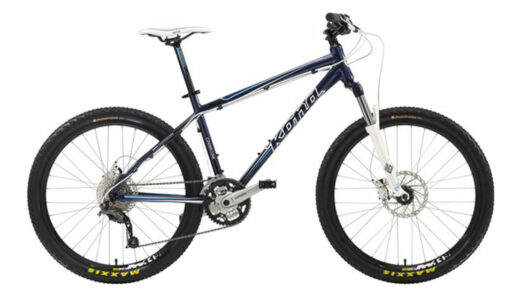 Adult Mountain Bike (Medium)