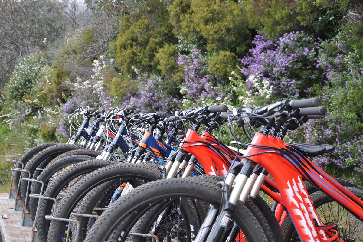 mountain-bike-shuttle
