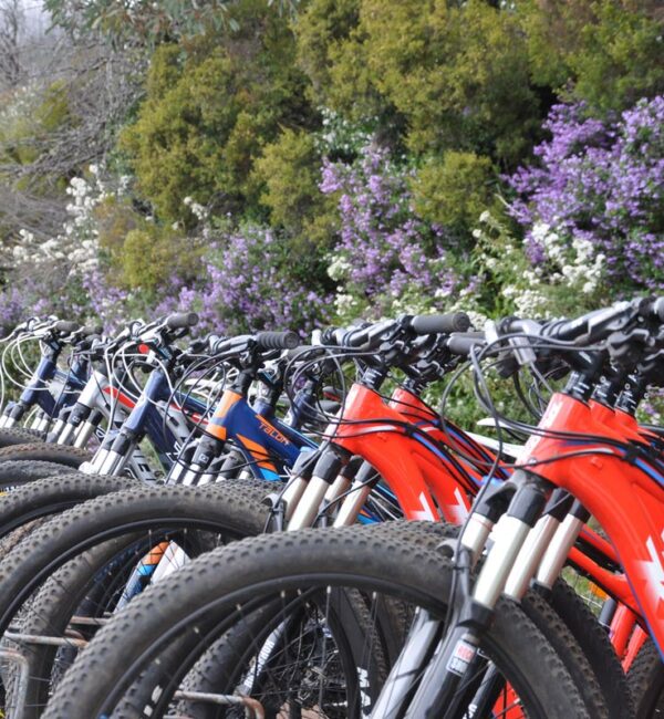 mountain-bike-shuttle