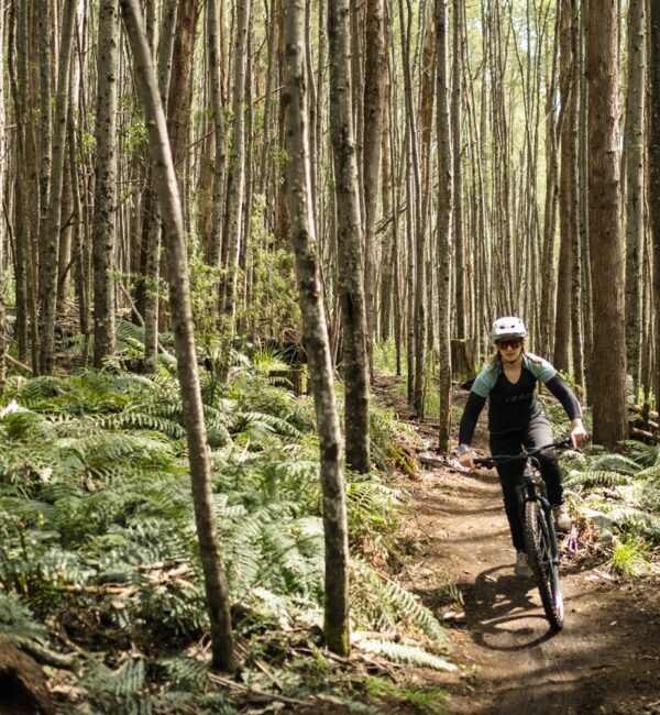 Lake_Mountain_Bikes_146_Small