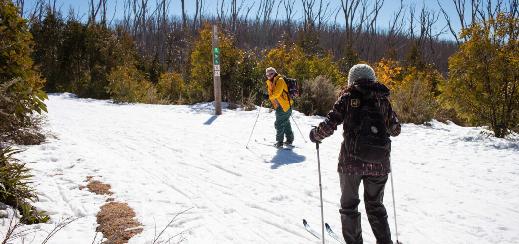two people skiing downhill in the snow