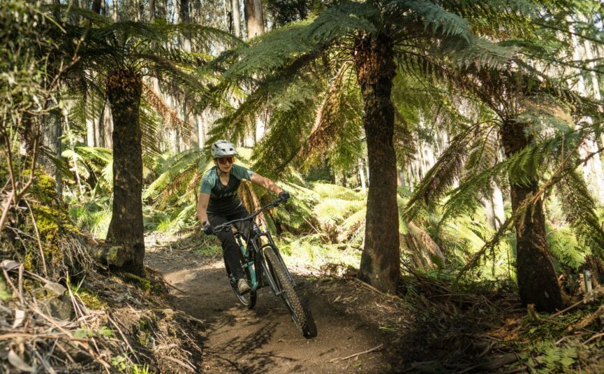 Essential mountain bike skills best sale