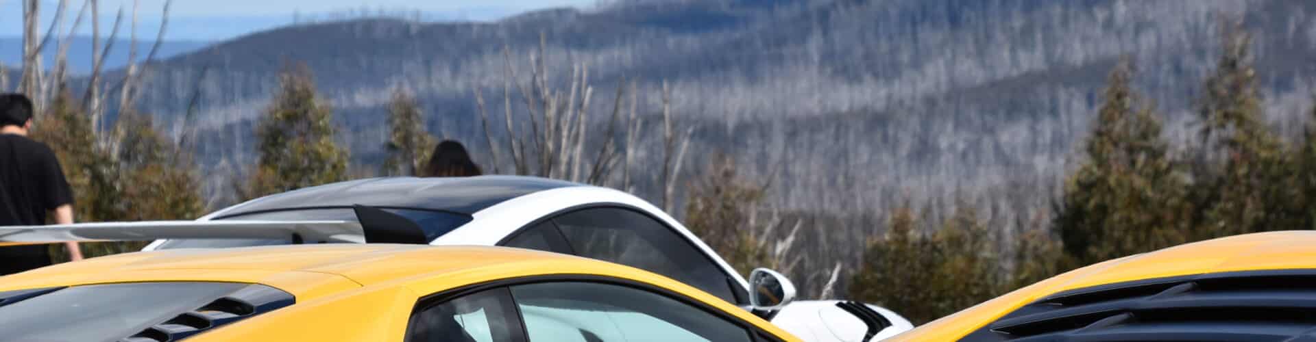 Lake Mountain Alpine Resort car